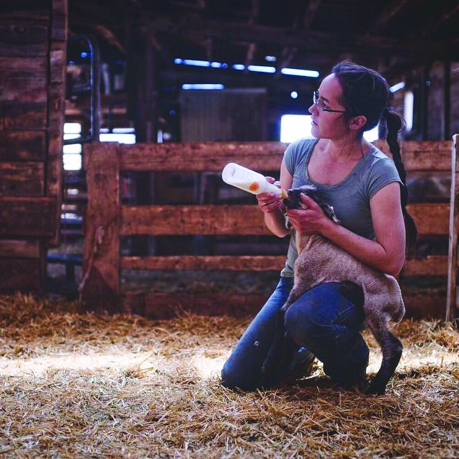 woman in a barn bottle feeding baby goat
