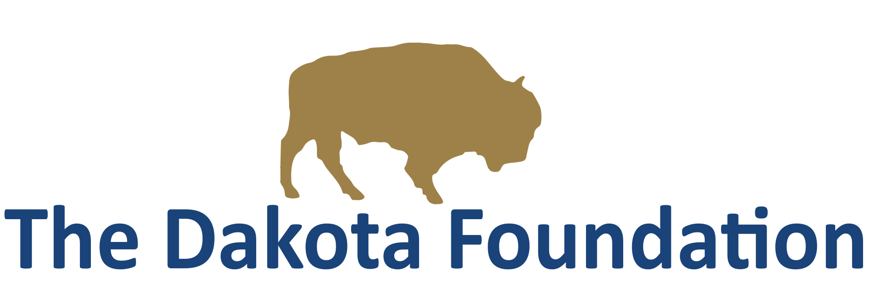 The Dakota Foundation logo